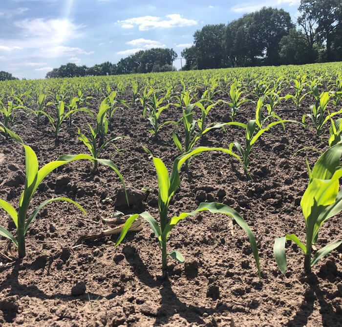 Lohnunternehmen Carsten Walkling - Aktuelles & Jobs